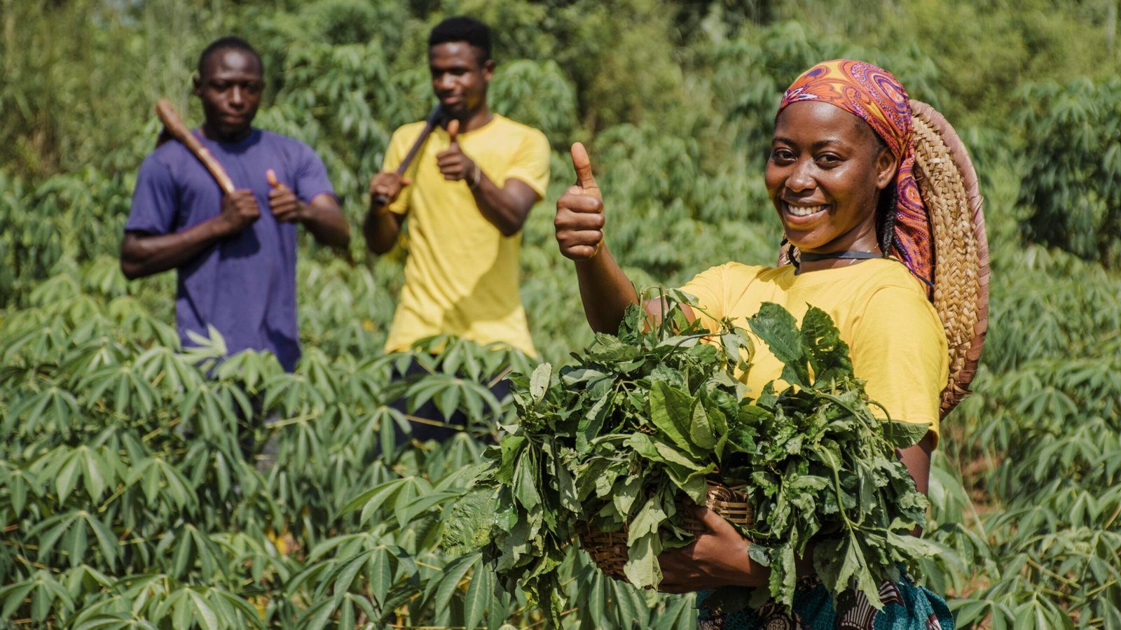 Inside Malawi’s Growing Coffee Culture