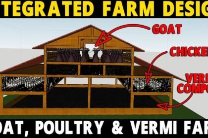 Integrated Farm Design - Raising Goats, Poultry and Vermicompost | Integrated Farming System Model